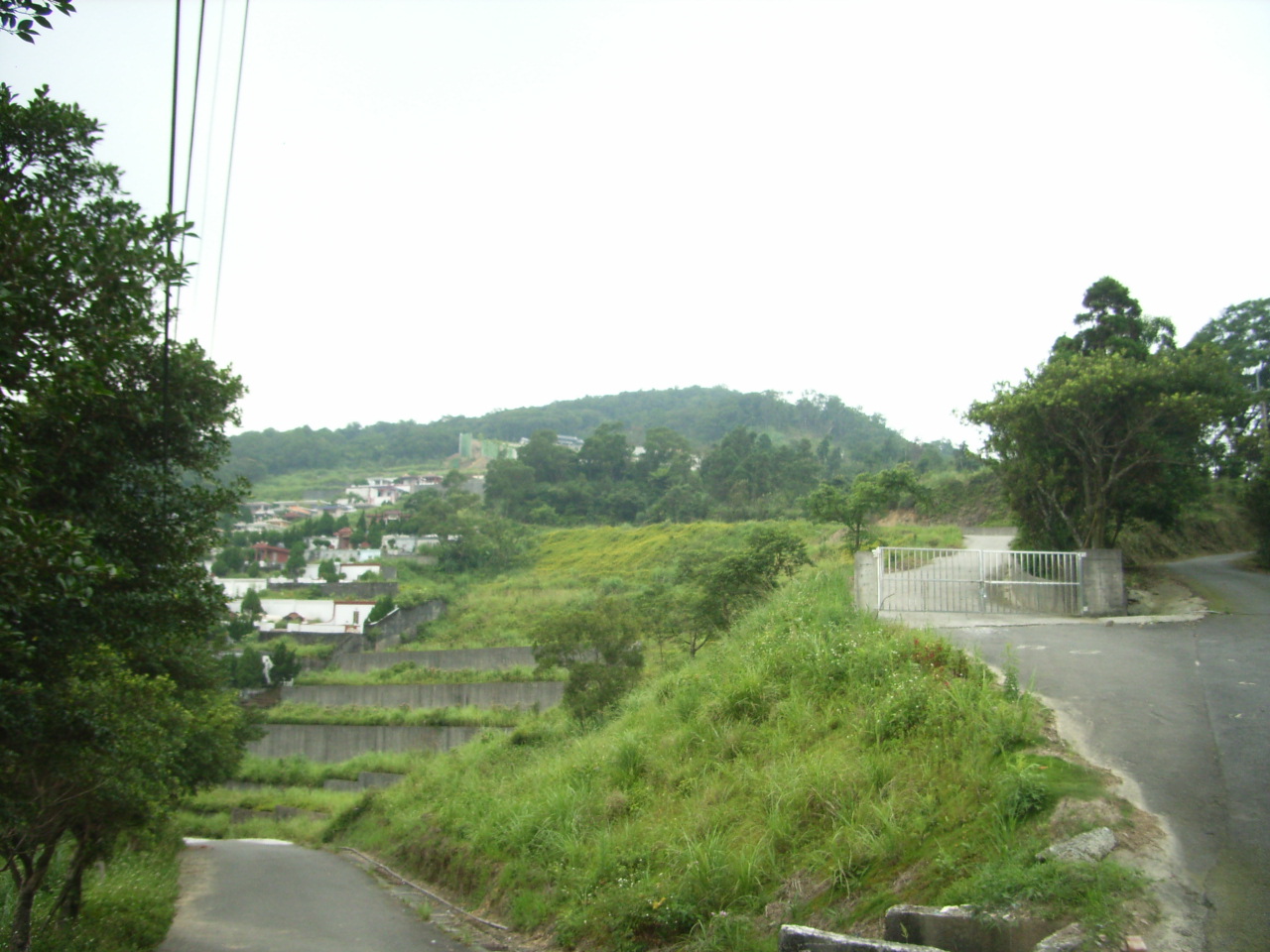 1 212.jpg